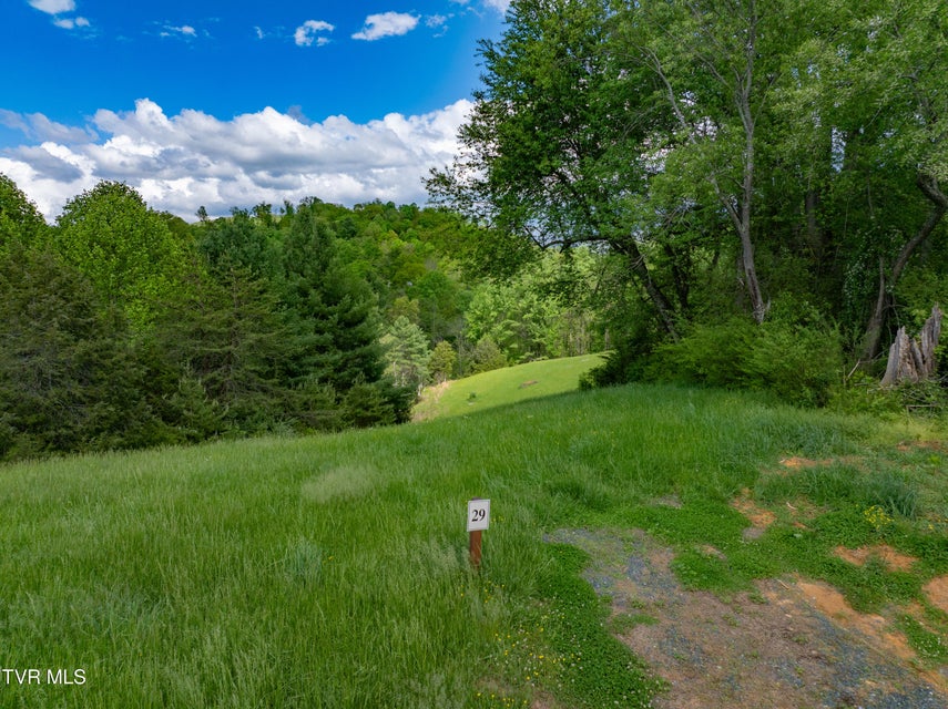 Photo #5: Lot 29 Vineyard Valley Trail