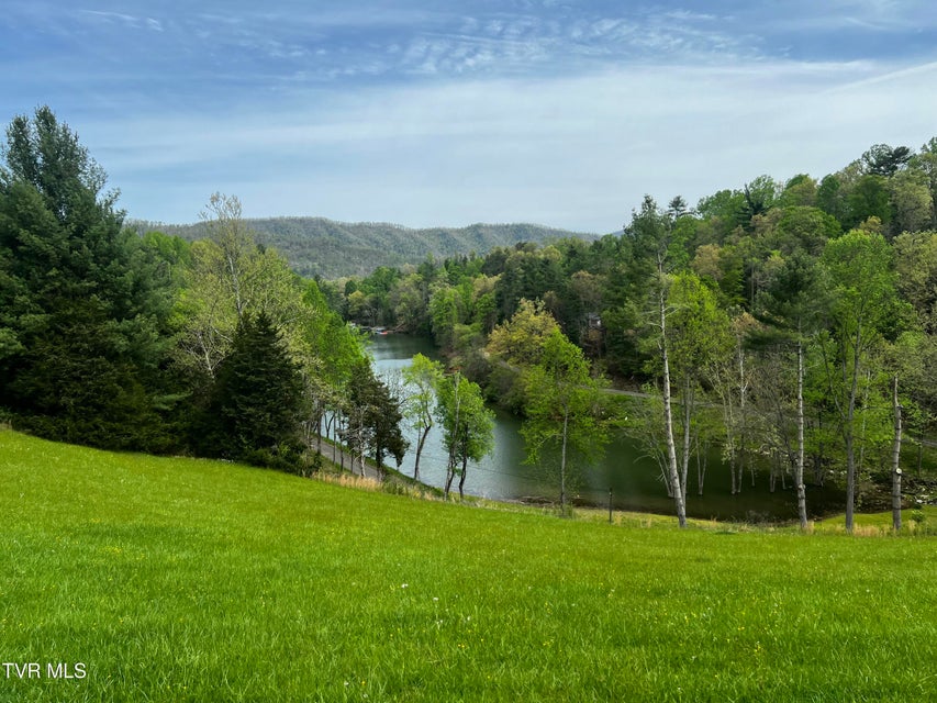 Photo #2: Lot 29 Vineyard Valley Trail