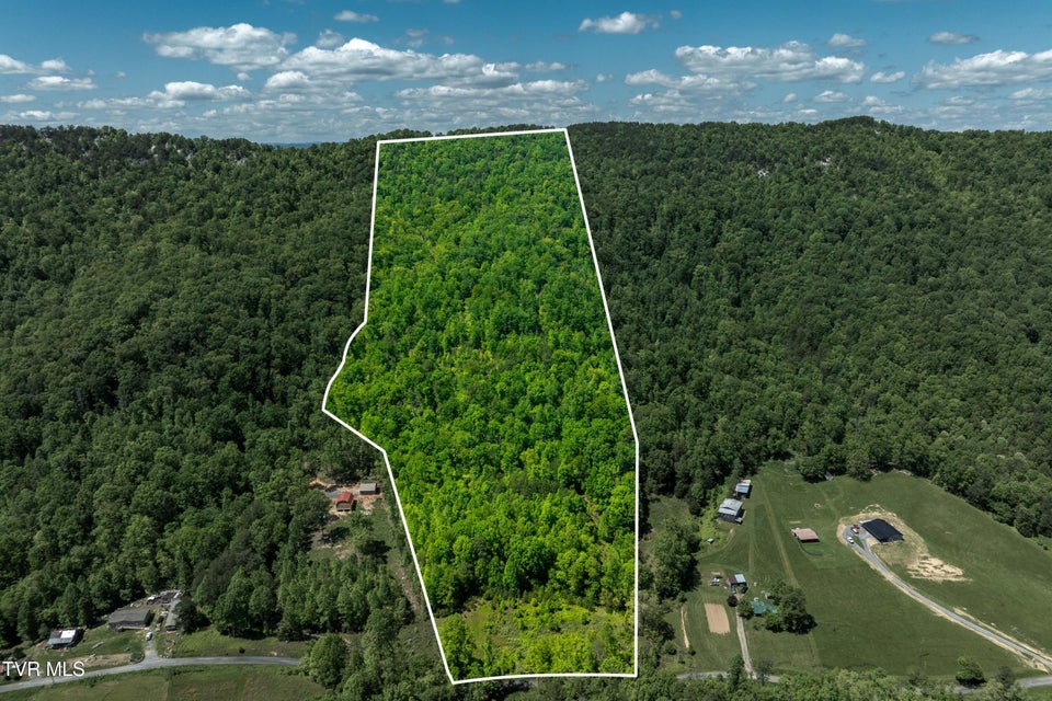 Photo #2: Tbd Fishers Creek Road