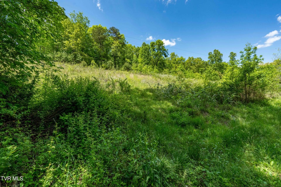 Photo #11: Tbd Fishers Creek Road
