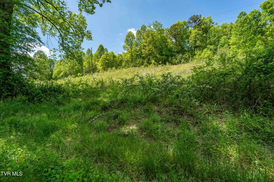 Photo #30: Tbd Fishers Creek Road