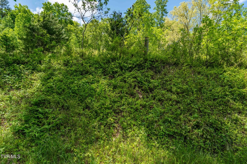 Photo #33: Tbd Fishers Creek Road