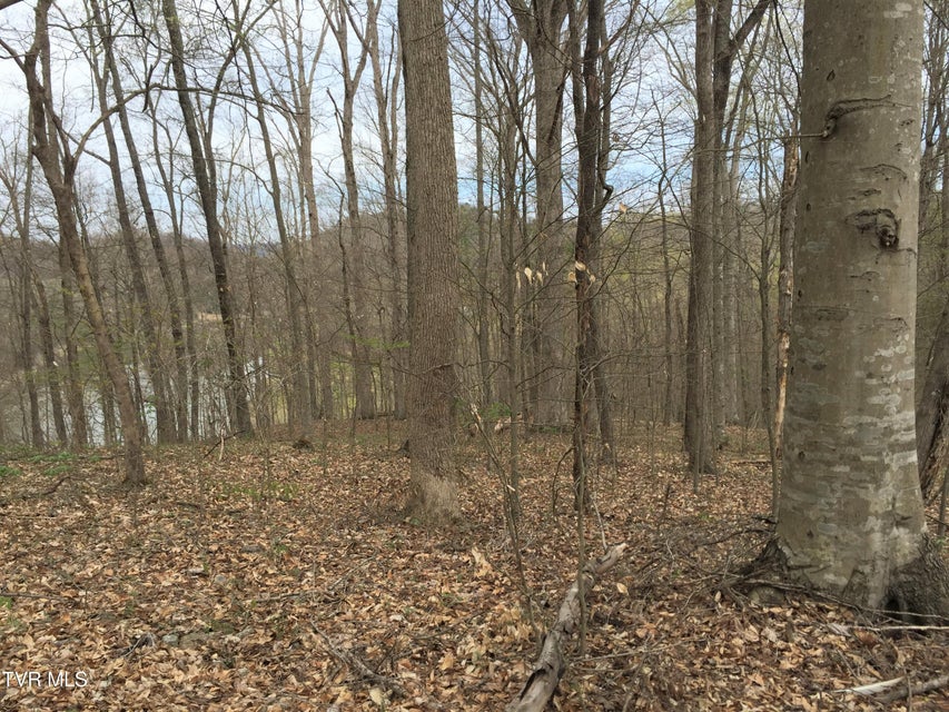 Photo #3: 00 Horseshoe Bend Road