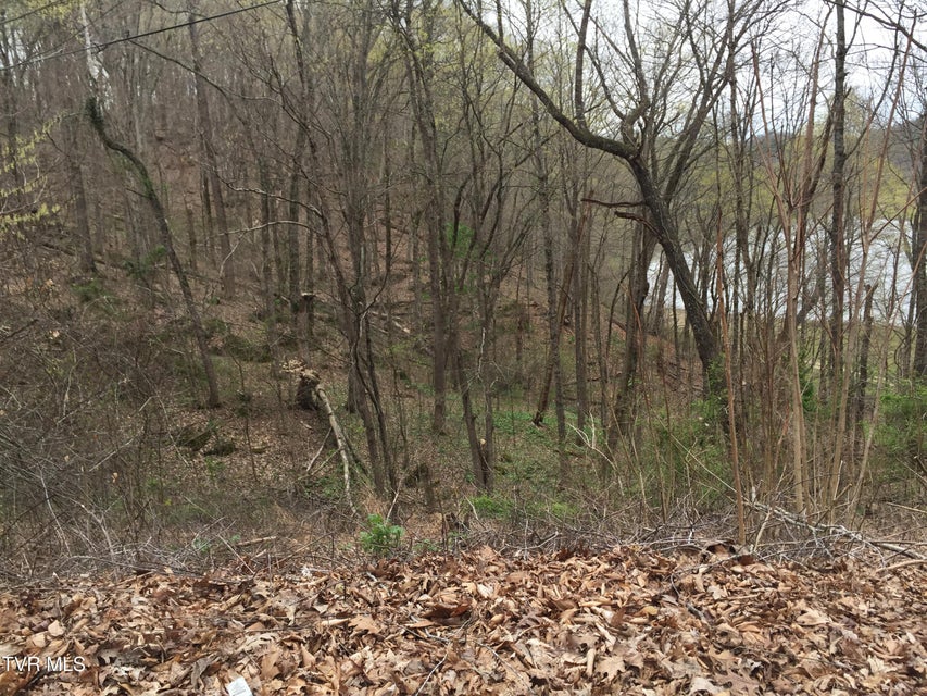 Photo #5: 00 Horseshoe Bend Road