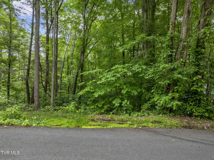 Photo #6: Tbd Water Tank Hill Road