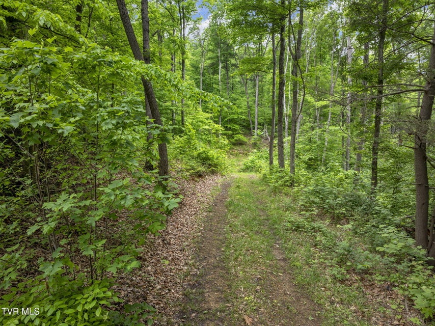 Photo #9: Tbd Water Tank Hill Road