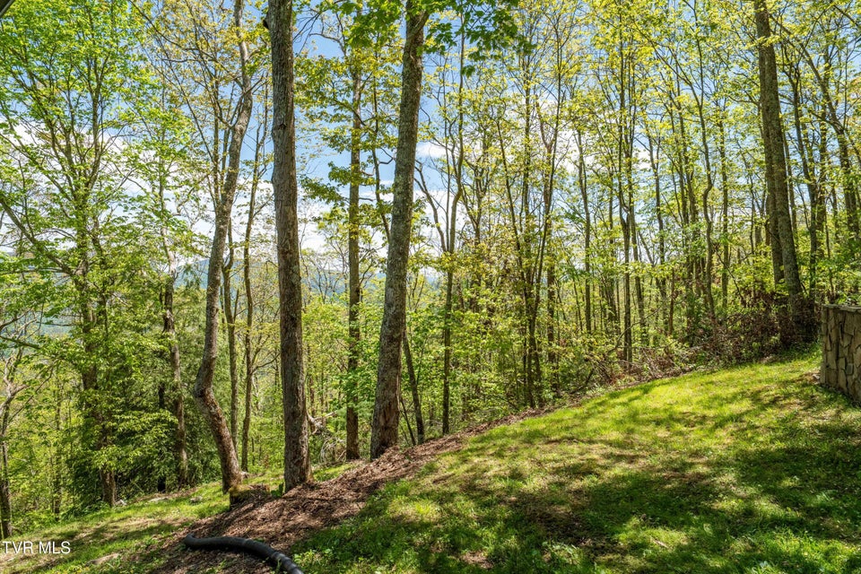 Photo #25: 1527 Stone Mountain Road