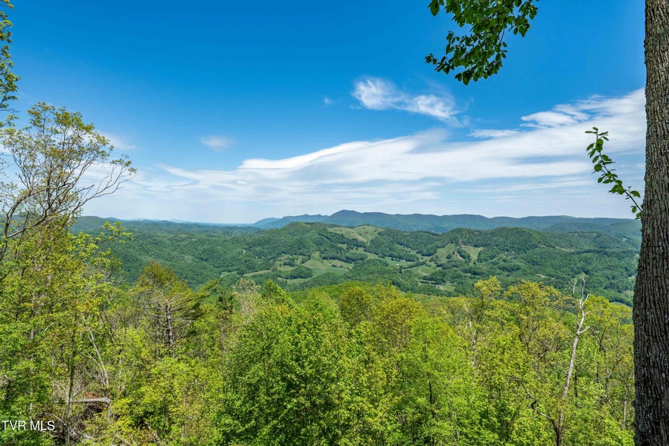 Photo #3: 1527 Stone Mountain Road