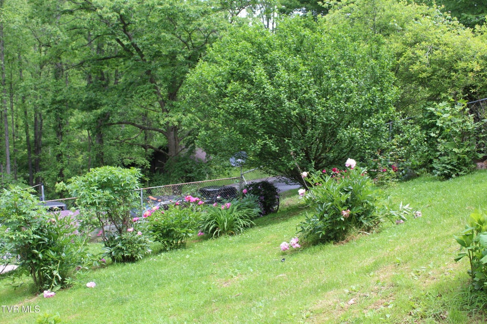 Photo #5: 2967 Left Poor Valley Road
