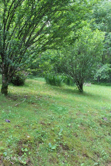 Photo #10: 2967 Left Poor Valley Road