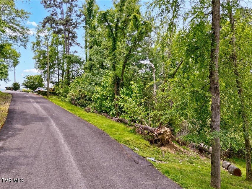 Photo #3: 1618 Sequoyah Drive