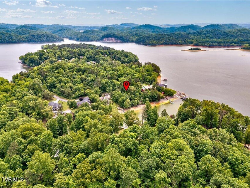Photo #19: 1618 Sequoyah Drive