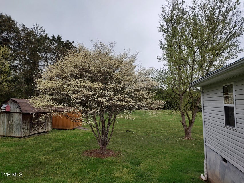 Photo #49: 3742 Beech Grove Road