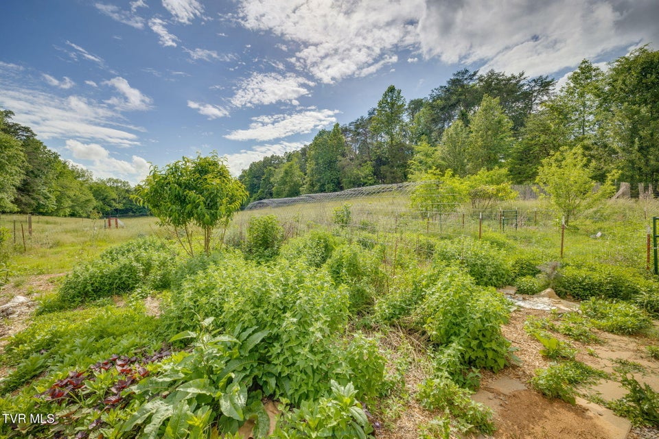Photo #34: 108 Richards Road