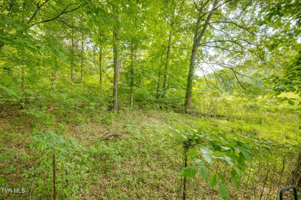 Photo #35: 108 Richards Road