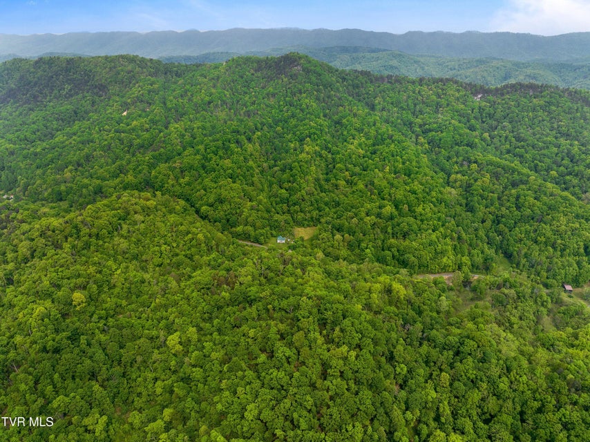 Photo #4: Tract 1 Sandy Valley Road