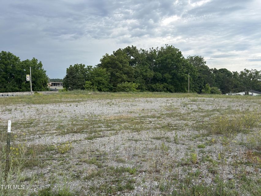 Photo #3: 00 Shackleford Road