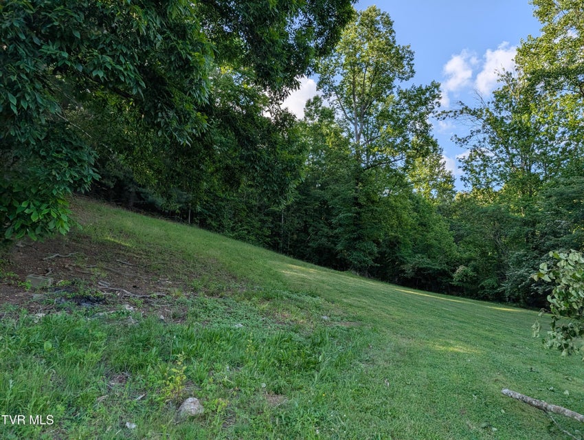 Photo #3: Tbd Hilton Road