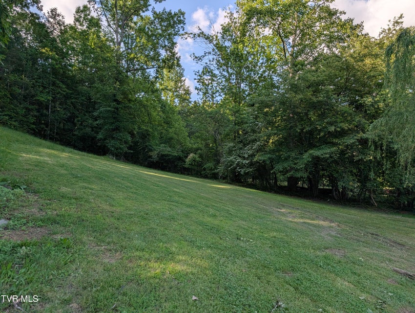 Photo #4: Tbd Hilton Road