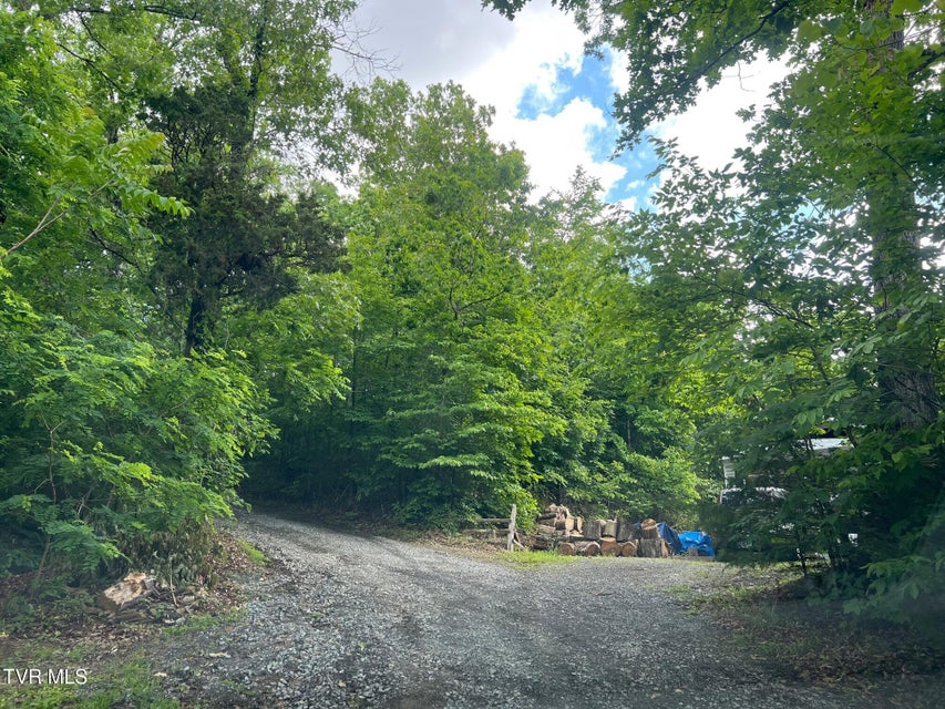 Photo #37: 168 Buzzard Roost Road
