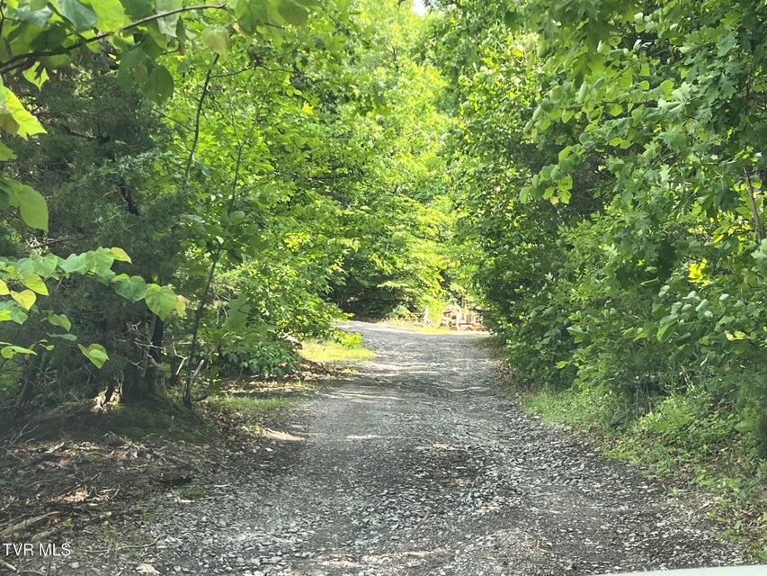 Photo #36: 168 Buzzard Roost Road