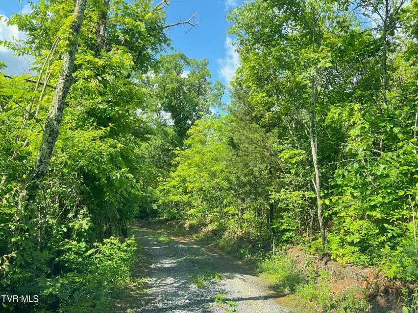Photo #15: 168 Buzzard Roost Road