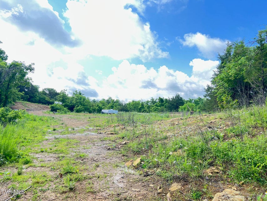Photo #6: 168 Buzzard Roost Road