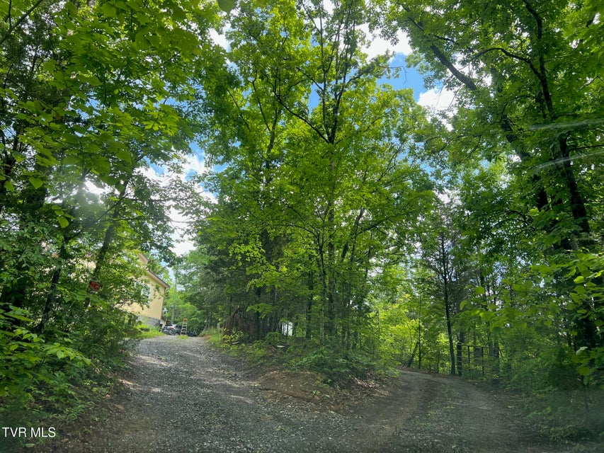 Photo #38: 168 Buzzard Roost Road