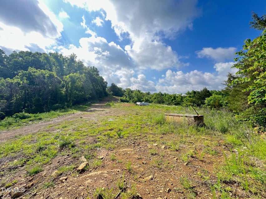 Photo #2: 168 Buzzard Roost Road