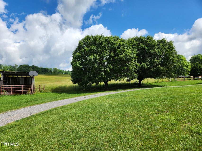 Photo #19: 7083 Saint Clair Rd Road