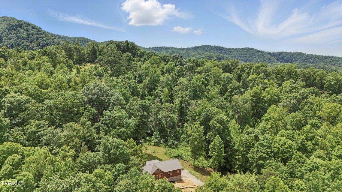 Photo #35: 560 Sigman Hollow Road