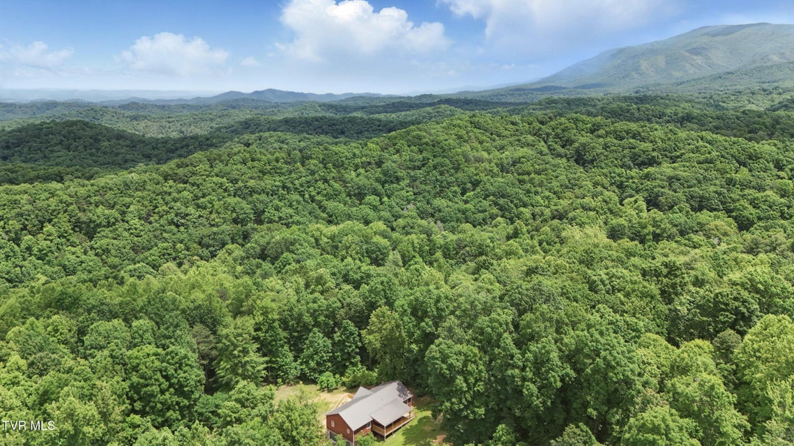 Photo #36: 560 Sigman Hollow Road