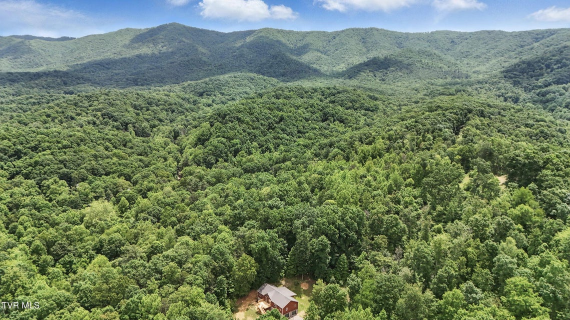 Photo #38: 560 Sigman Hollow Road