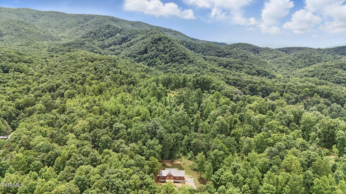 Photo #39: 560 Sigman Hollow Road