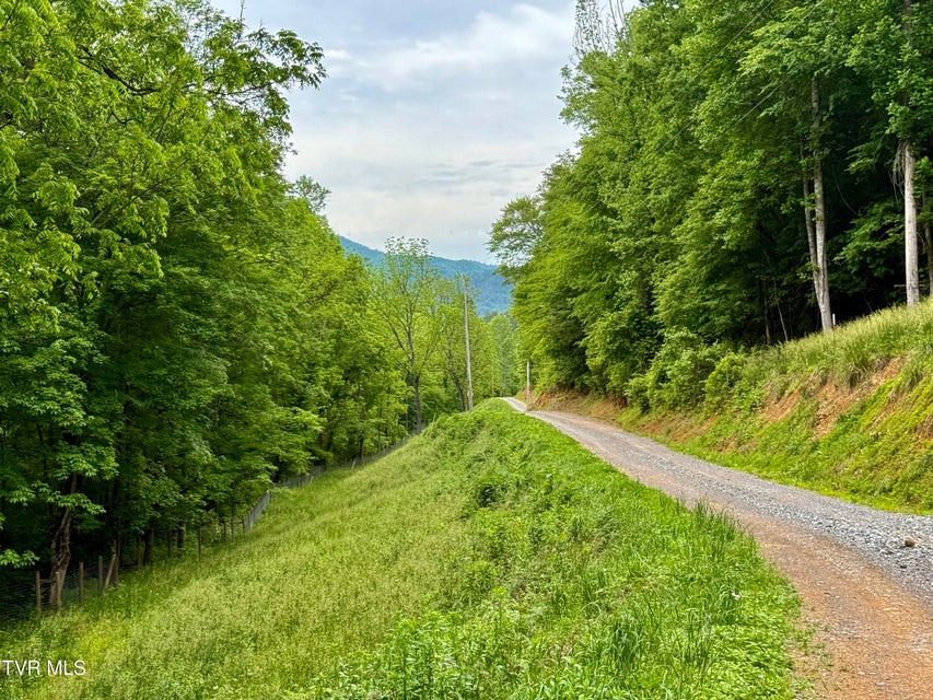 Photo #5: 538 Punkton Road