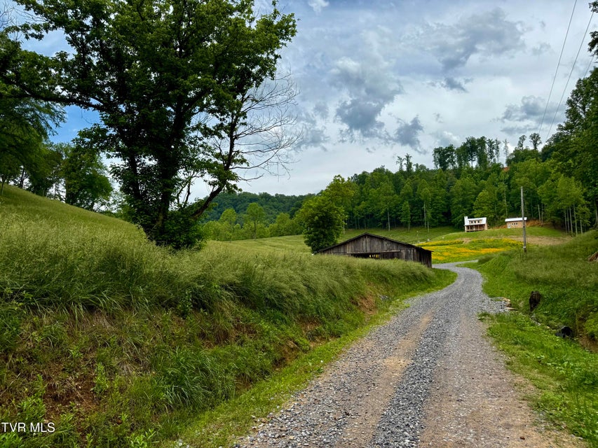 Photo #6: 538 Punkton Road