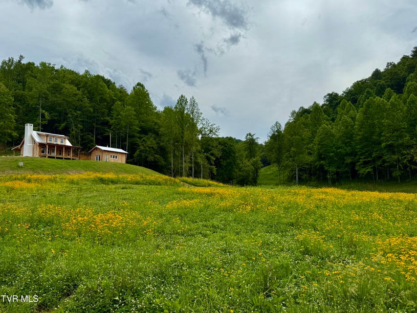 Photo #8: 538 Punkton Road