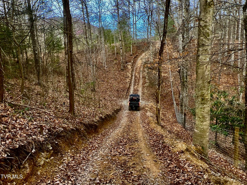 Photo #47: 538 Punkton Road