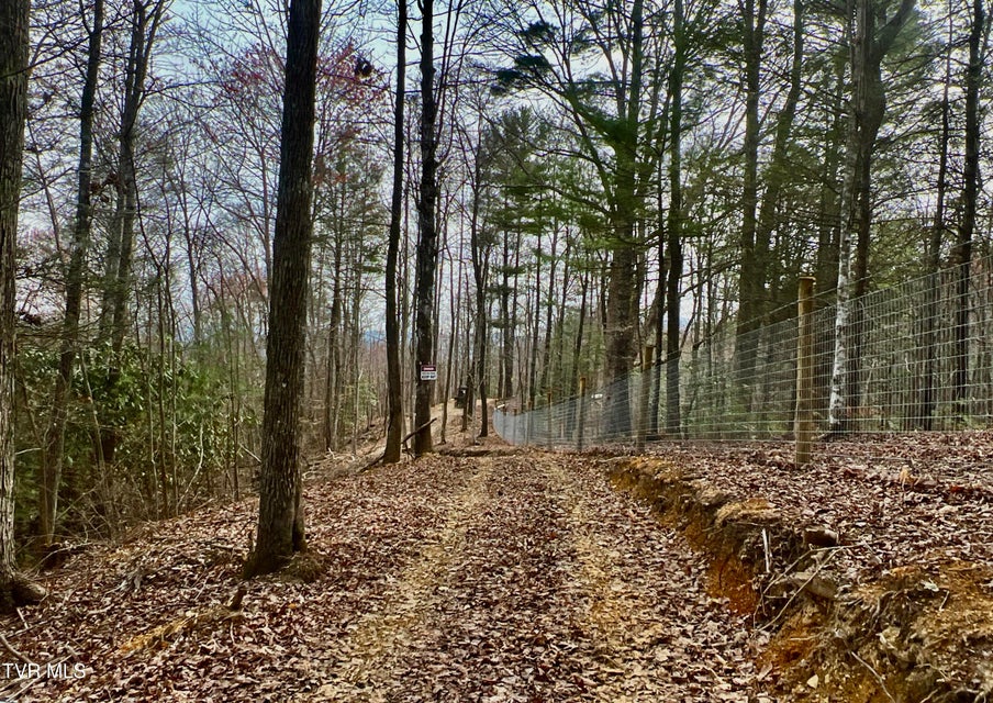 Photo #48: 538 Punkton Road