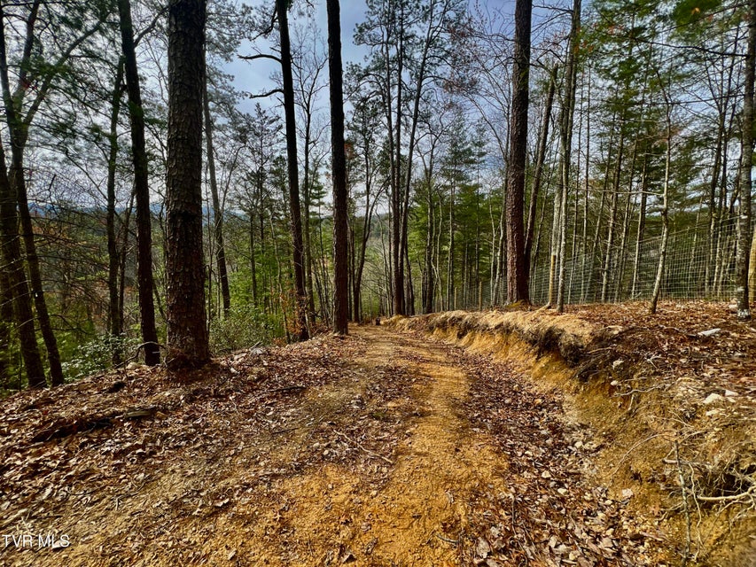 Photo #49: 538 Punkton Road