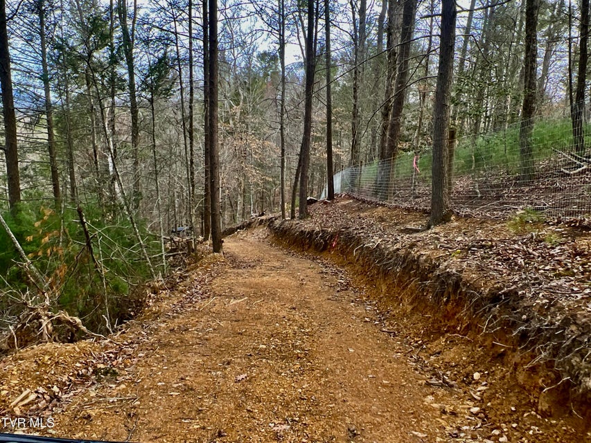 Photo #50: 538 Punkton Road