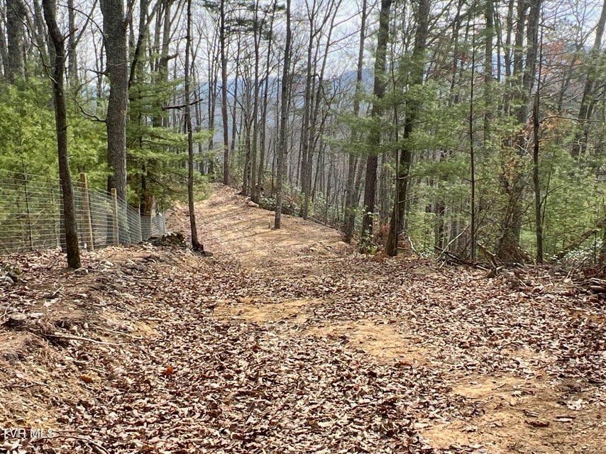 Photo #51: 538 Punkton Road