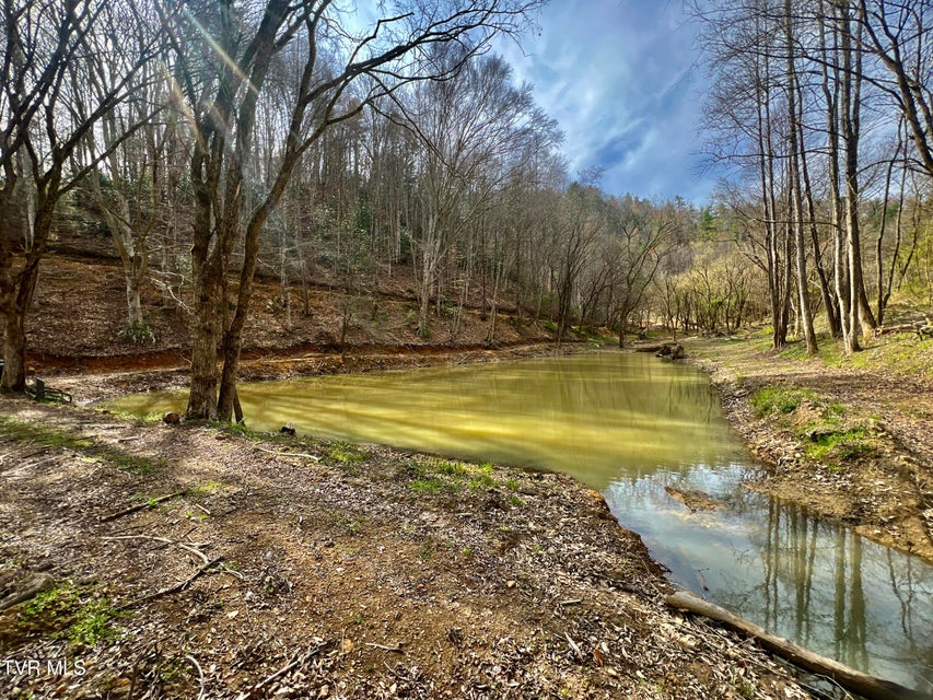 Photo #55: 538 Punkton Road