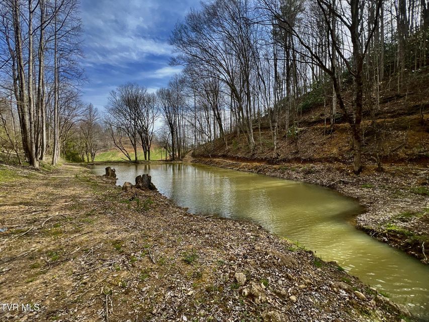 Photo #56: 538 Punkton Road