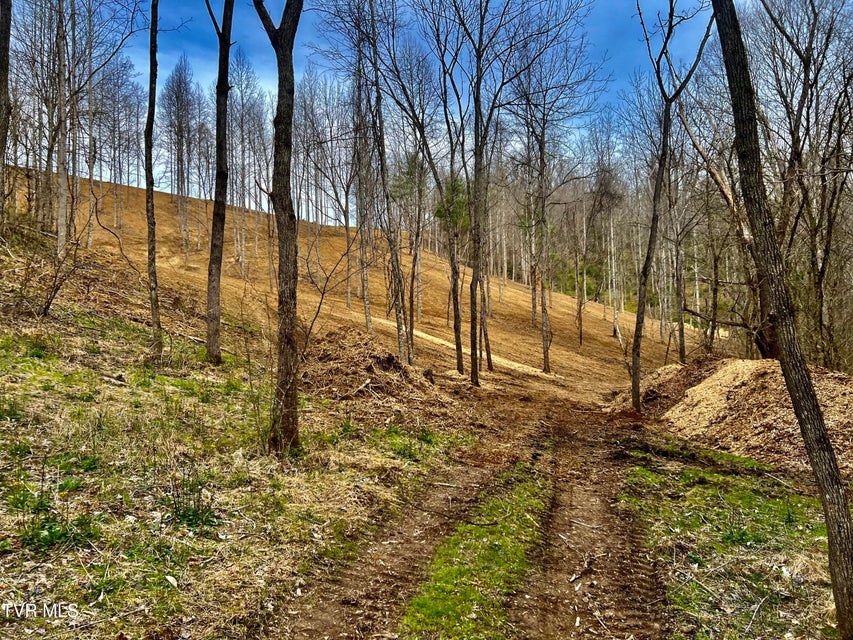 Photo #58: 538 Punkton Road