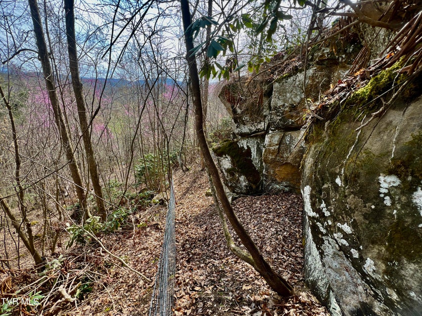 Photo #61: 538 Punkton Road