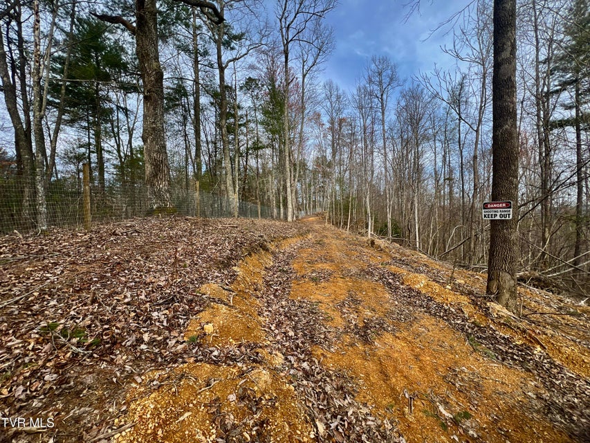 Photo #62: 538 Punkton Road