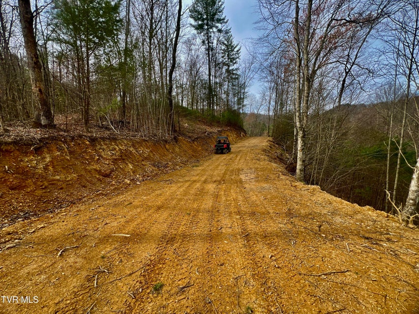 Photo #63: 538 Punkton Road