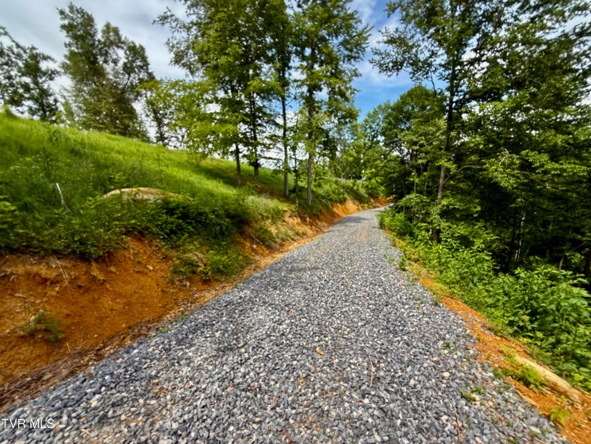Photo #64: 538 Punkton Road