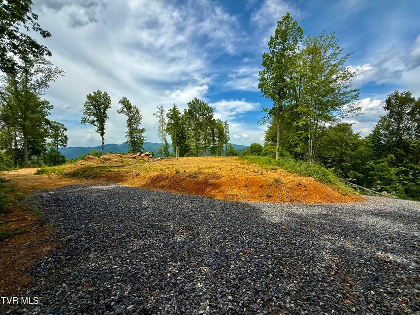 Photo #65: 538 Punkton Road